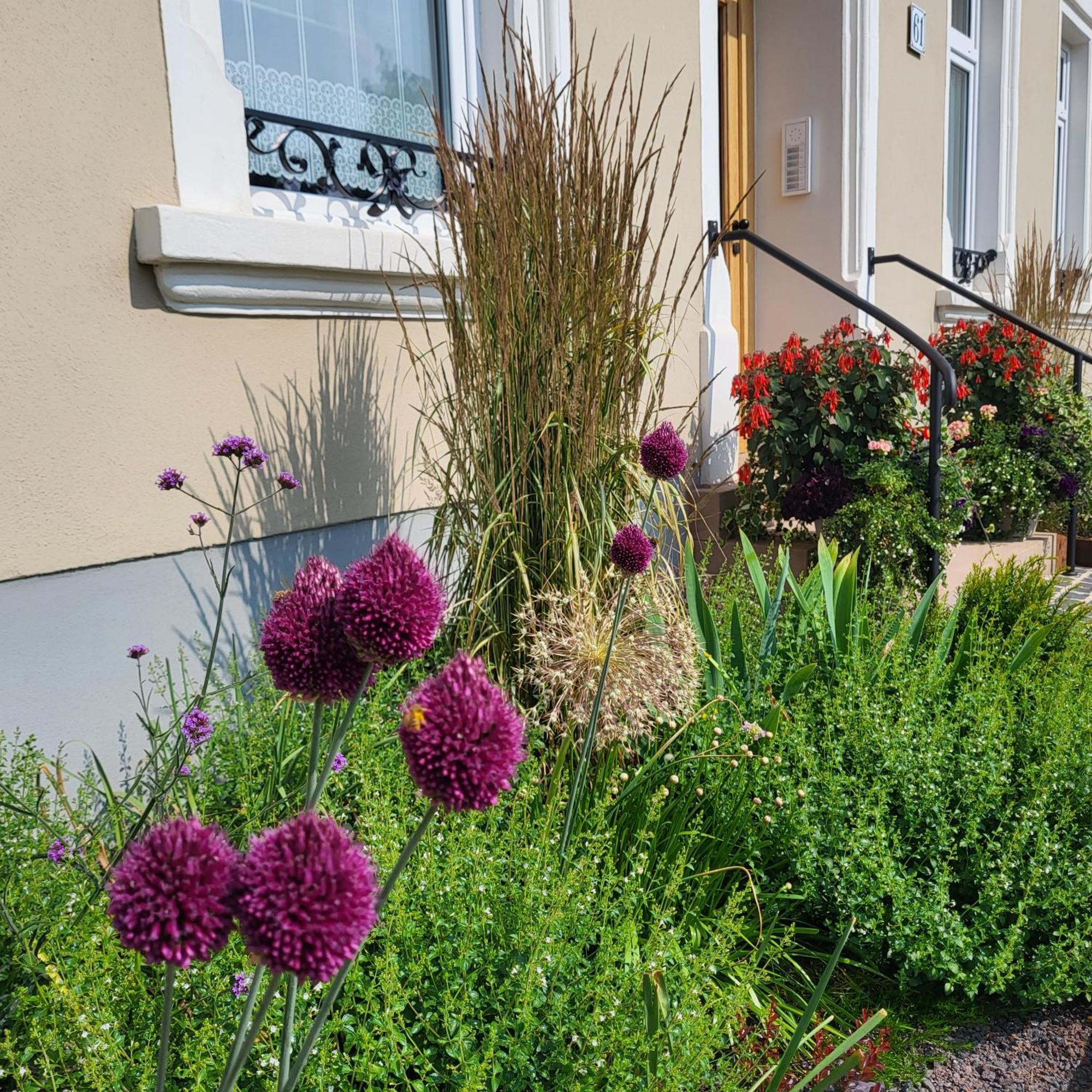 Komfort Ferienwohnungen Mit Wellness-Garten - Gaestehaus Am Bachlauf - Losheim Am See Luaran gambar