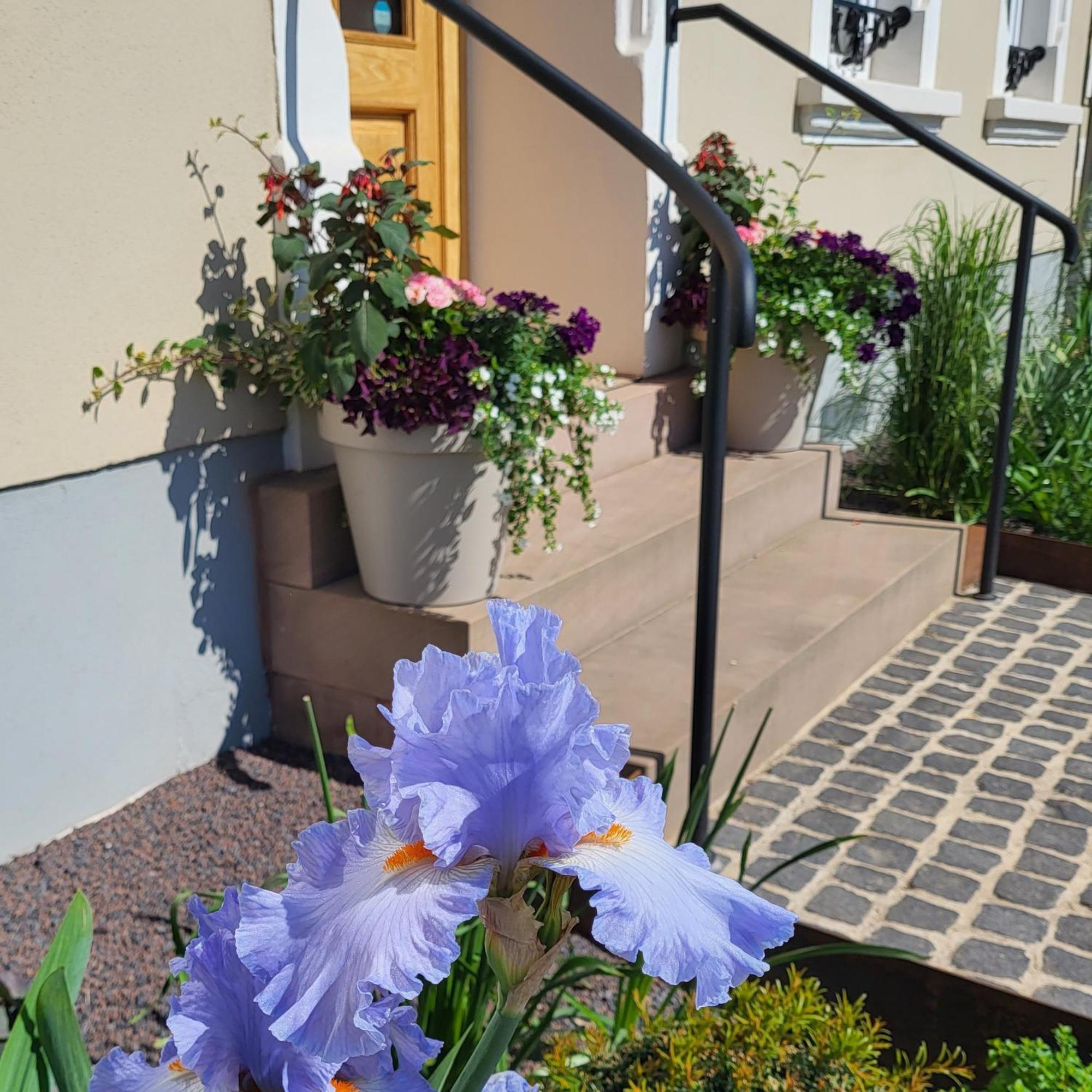 Komfort Ferienwohnungen Mit Wellness-Garten - Gaestehaus Am Bachlauf - Losheim Am See Bilik gambar