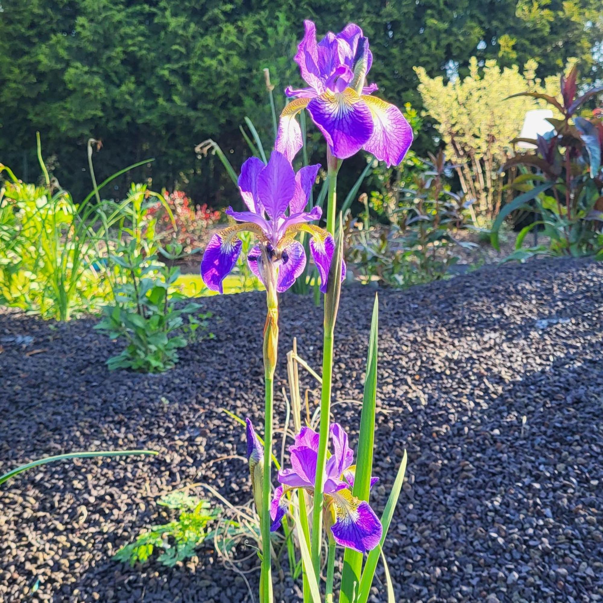 Komfort Ferienwohnungen Mit Wellness-Garten - Gaestehaus Am Bachlauf - Losheim Am See Bilik gambar